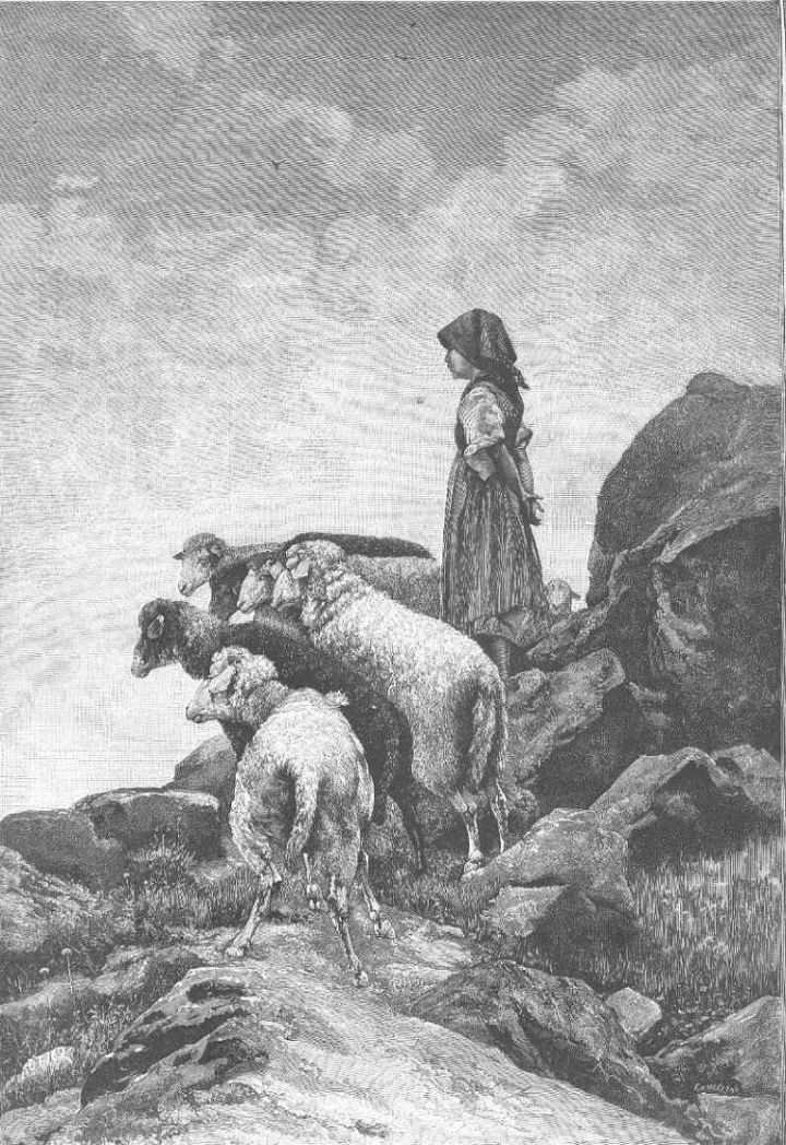 Watching Shepherdess with 6 Sheep