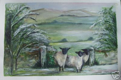 Water Colour Painting Sheep in Wales