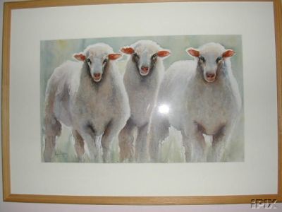 Watercolor Australian Sheep