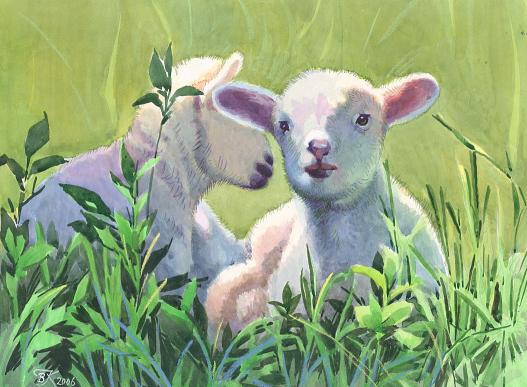 Watercolor Painting Two Sheeps on Meadow