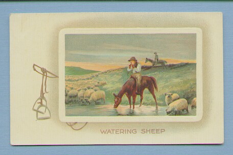 Watering Sheep