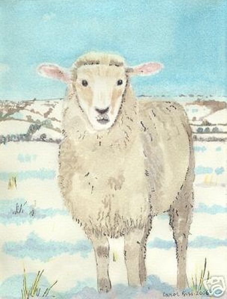 Wc Sheep in Snow