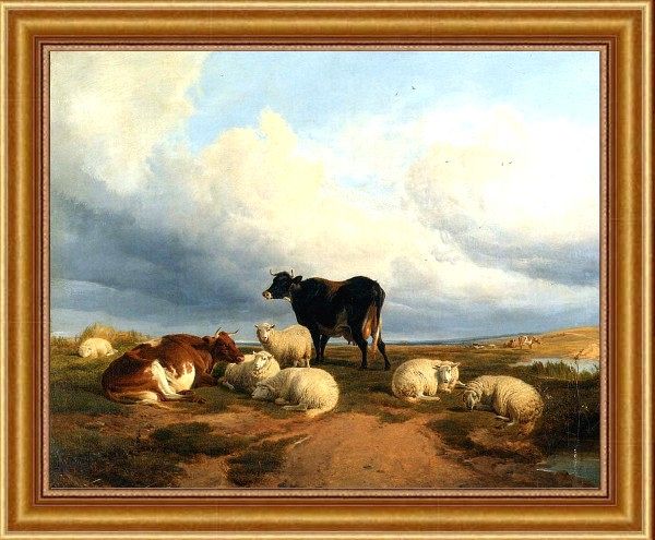 Wcooper Thomas Sidney Canterbury Meadows Sheep