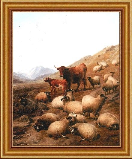 Wcooper Thomas Sidney in the Highlands Sheep Cattle