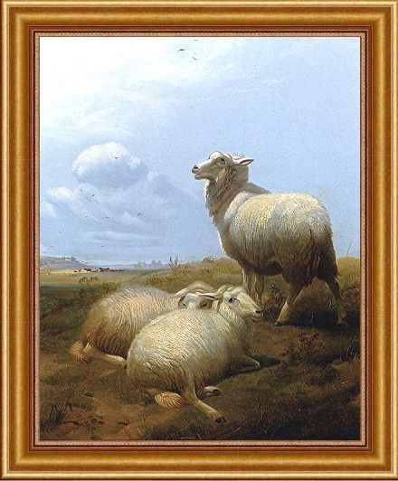 Wcooper Thomas Sidney Sheep at Pasture