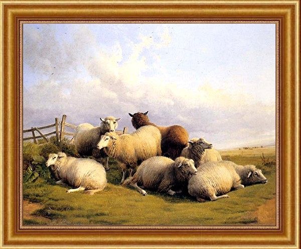 Wcooper Thomas Sidney Sheep in an Extensive Landscape
