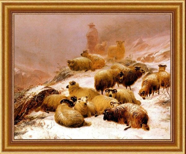 Wcooper Thomas Sidney the Chill of Winter Sheep
