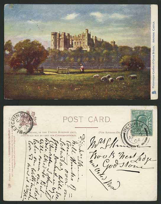 West Sussex 1904 Arundel Castle and Sheep