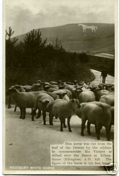 Westbury White Horse and Sheep