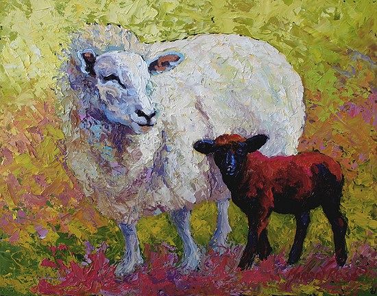 White Ewe with Black Lamb