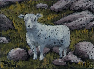White Sheep with Back Speckles