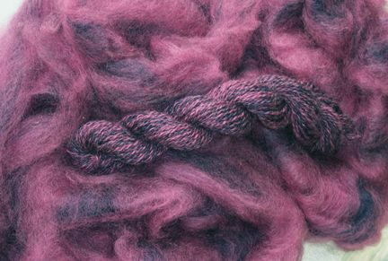 Wildberry Colorway Dye