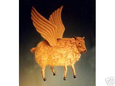 Winged Tunis Sheep