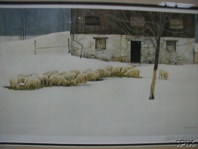 Winter Barn Sheep