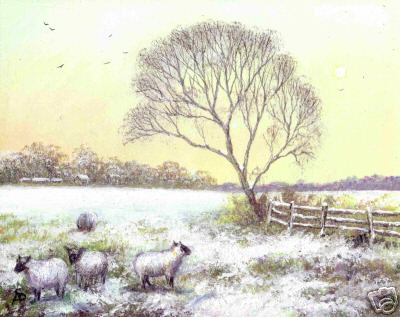 Winter Sheep Acrylic