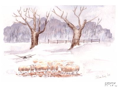 Winter Sheep Pen