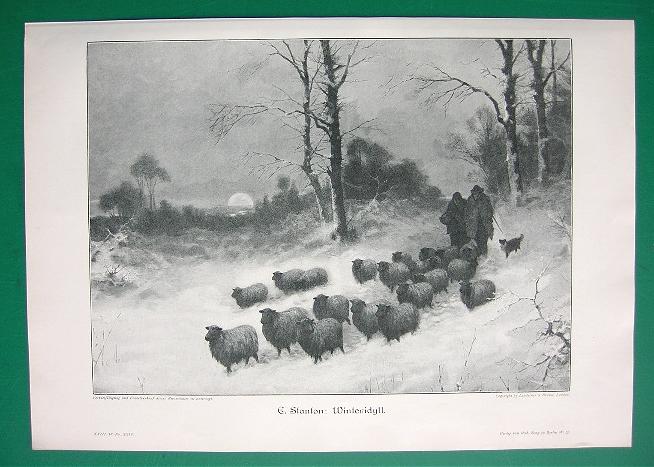 Winter Sheep Returning to the Barn