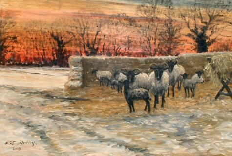 Winterscenefull Sheep