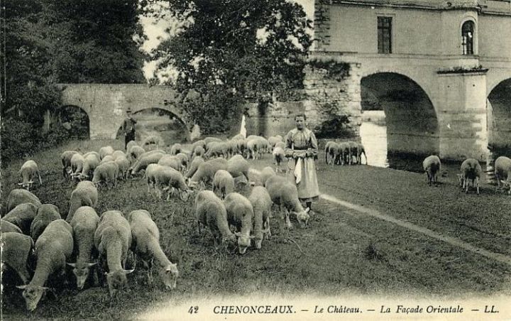 Woman and Chateau Sheep