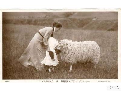 Woman and Child with Drinking Sheep