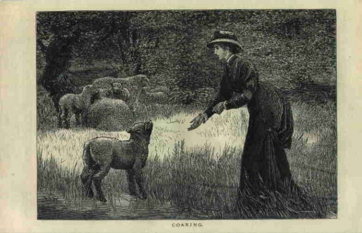 Woman Coaxing Lamb