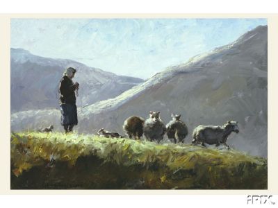 Woman Knitting Socks and Watching Sheep
