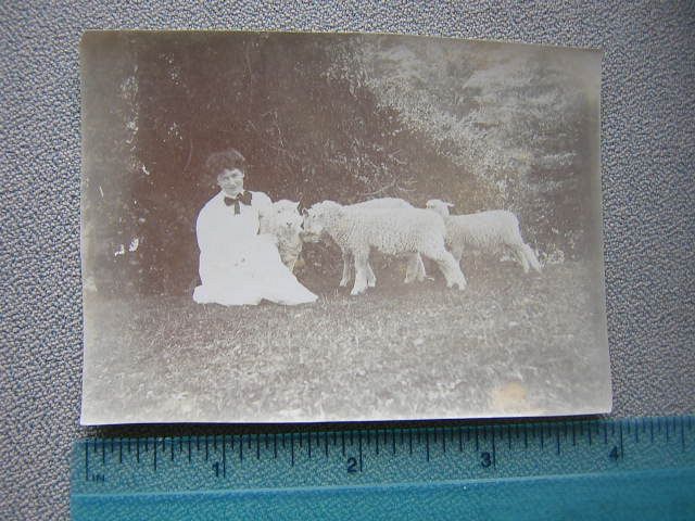 Woman with 4 Sheep