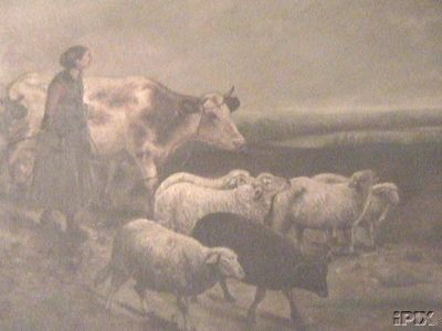 Woman with Cow and Sheep