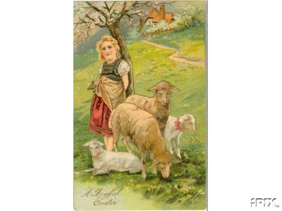 Woman with Ewes Lambs