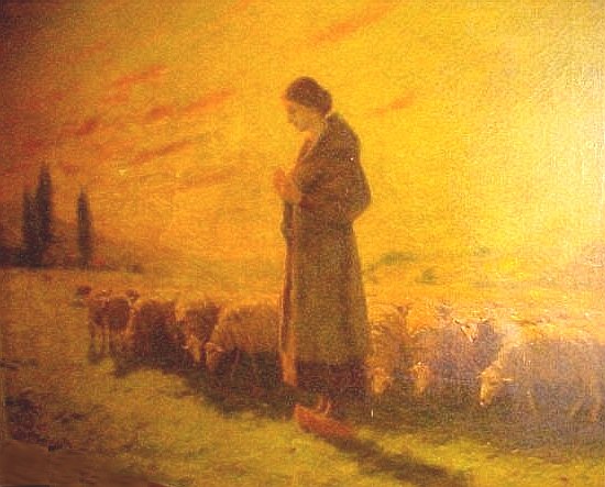 Woman with Sheep at Sunset 2