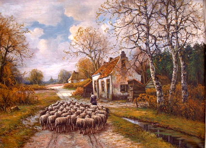 Wonderful Old Sheep Picture