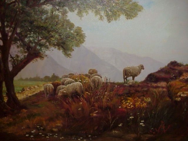 Wonderful Sheep on a Hill