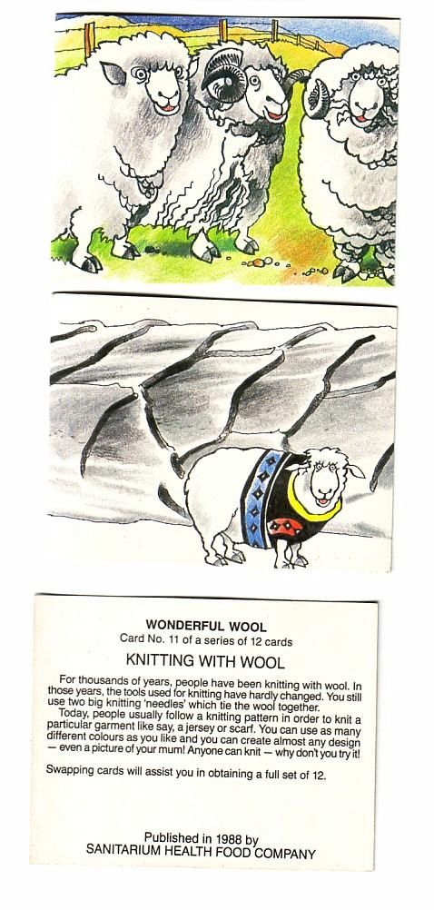 Wool Card Set Merino Sheep1