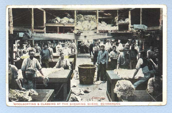 Wool Sorting in Australia