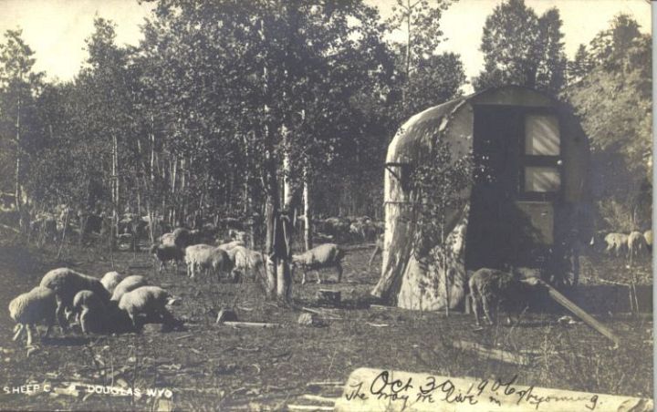 WY Sheep Camp