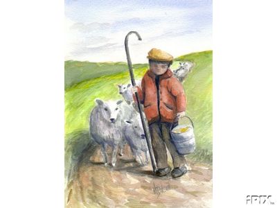 Young Boy with Cheviot Flock