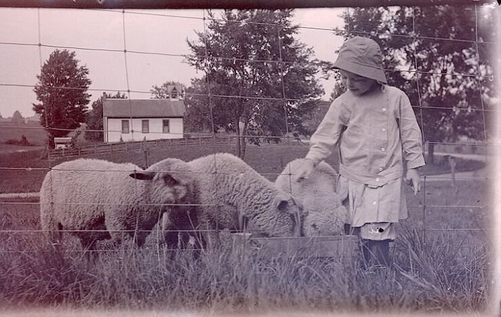 Young Child with Sheep