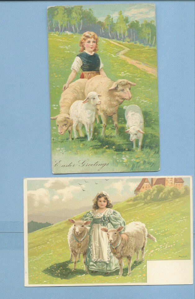 Young Girl with 2 Sheep with Ribblons