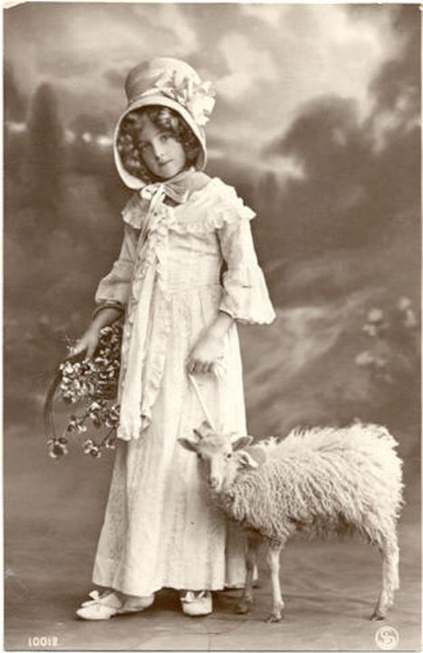 Young Girl with Ram Lamb Sheep