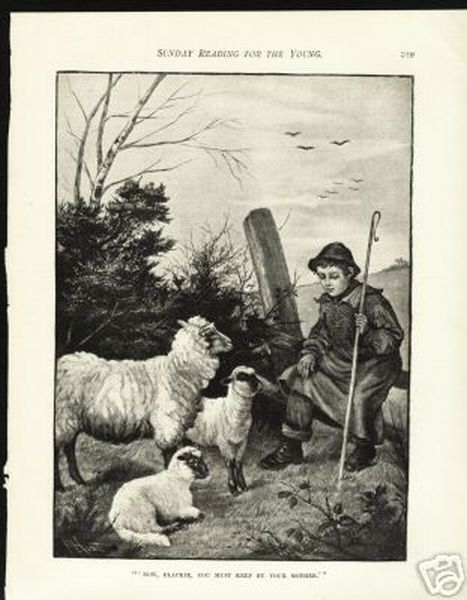 Young Shepherd Speaks to Sheep