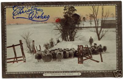 Yule Card Sheep Flock