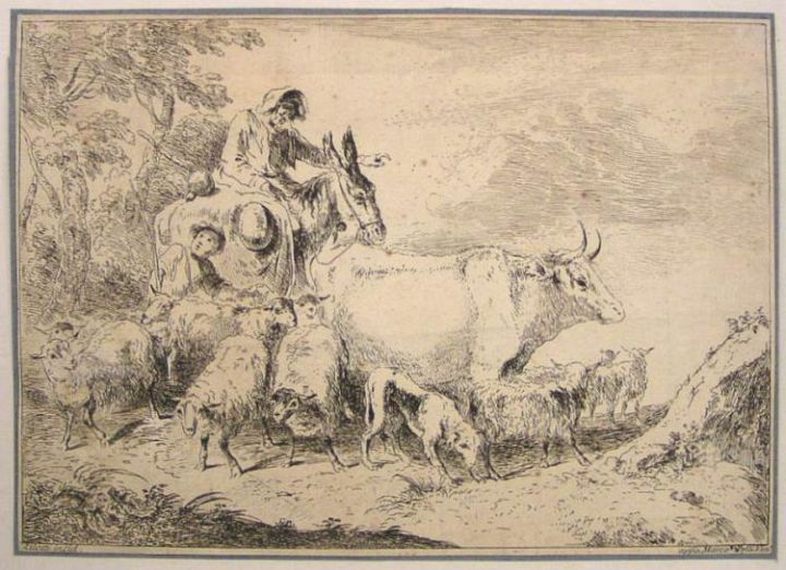 Zilotti Sheep Cow Etching