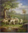 10 Ewes By Water