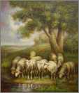 10 Ewes By Water1