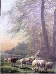 10 Sheep with Woman and Child