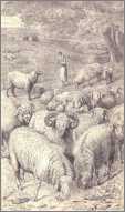 1876 Sheep Woodcut