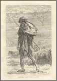 1878 Print Australian Sheep Herder Costume Asia 247 4C