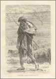 1878 Print Australian Sheep Herder Costume Asia 247 4C