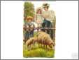 1880S Family Looks at Sheep
