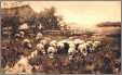 1910 Postcard Sheep in Pasture By Wilm Steelink